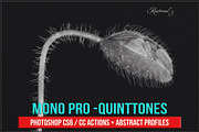 Mono Pro - Quinttones, an Action Add-On by Raztrend (Thumbnail 1 of 12)
