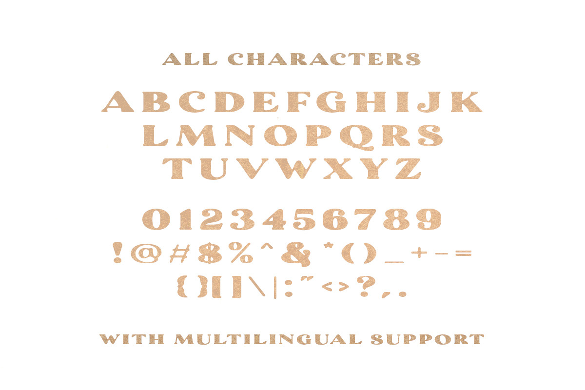 Coachella - Vintage Inspired Serif, a Serif Font by Sarid Ezra (Photo 6 of 6)