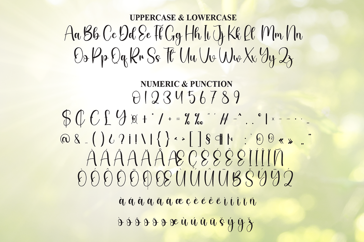 Sunlight | Script Font, a Handwritten Font by Scratchones (Photo 7 of 8)