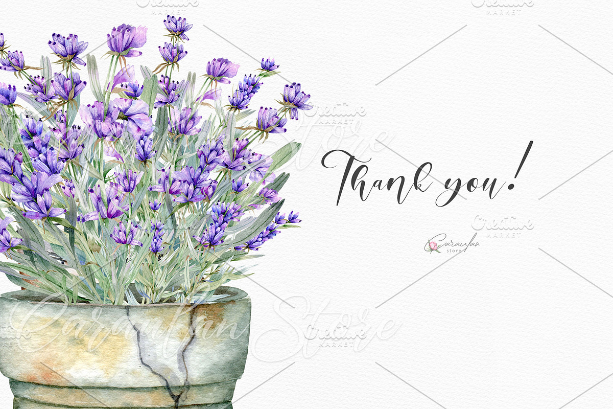 Hand Painted Lavender Watercolor, an Object Illustration by CaraulanStore (Photo 6 of 6)