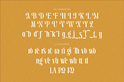 Dreavolt A Serif Display Font, a Serif Font by Storytype Studio (Thumbnail 13 of 15)