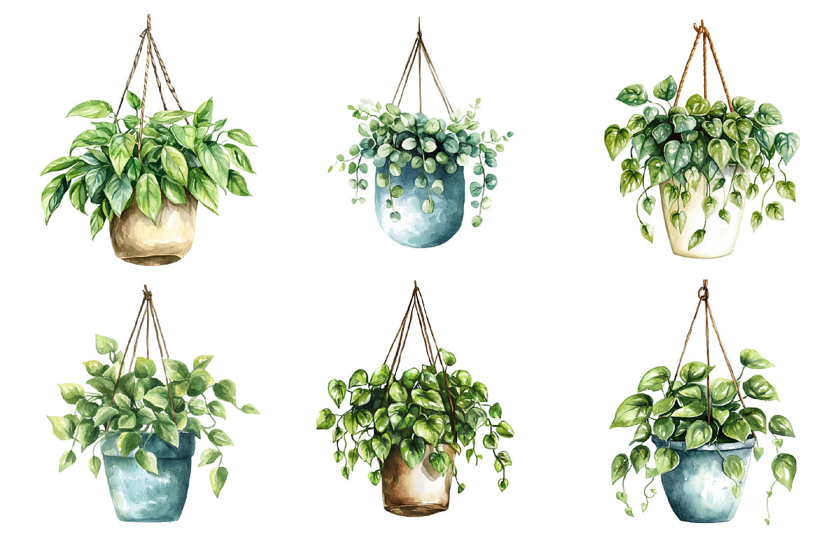 Watercolor Hanging Plant Vase PNG, an Illustration by SinaCreation (Photo 7 of 7)