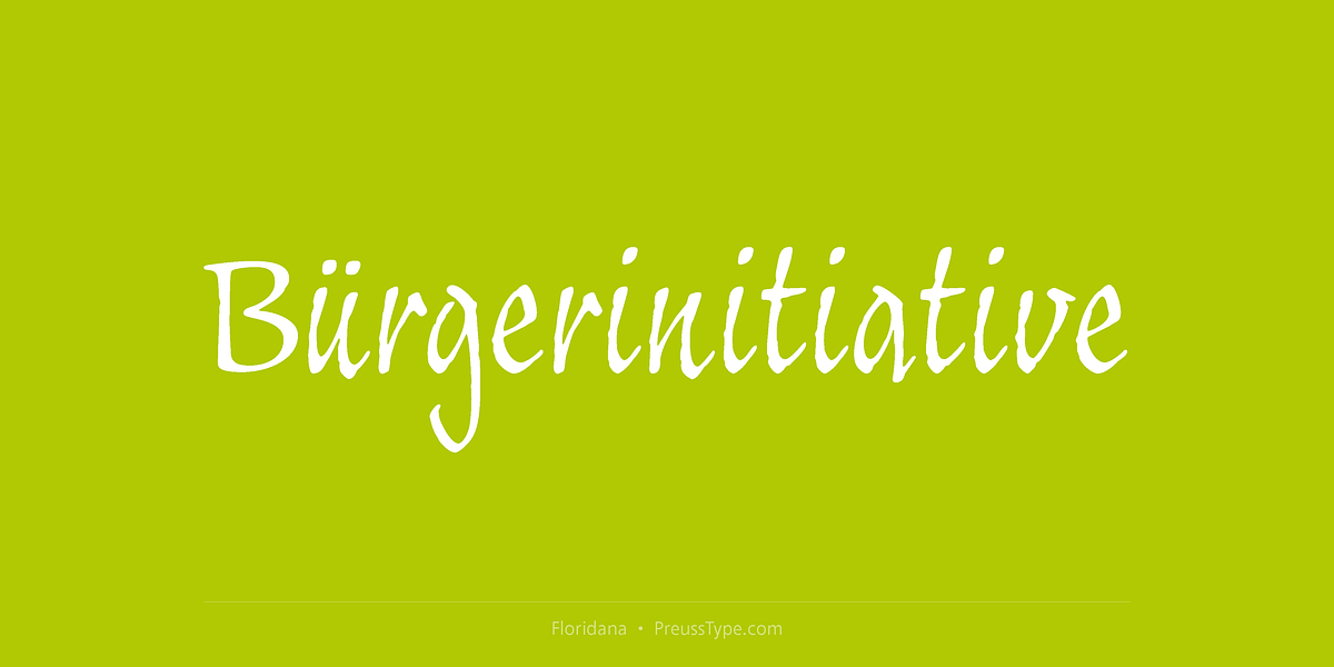 Floridana, a Script Font by preussTYPE (Photo 2 of 8)