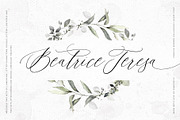 Frances | Modern Calligraphy Script, a Script Font by Pink Coffie (Thumbnail 5 of 11)