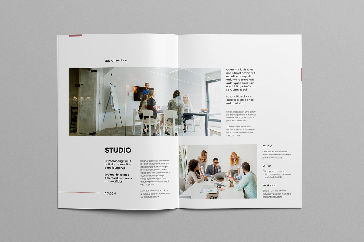 Portfolio Template, a Brochure Template by Pixelpick (Photo 3 of 9)