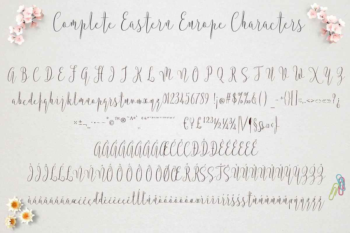 Argentina Script preview 7