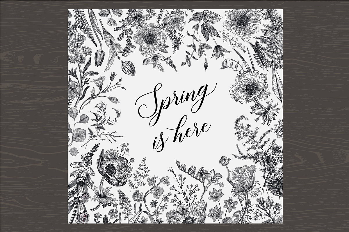 Spring magic. Black and white, an Illustration by olga.korneeva