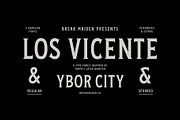 Vicente Font Family, a Font by Stable (Thumbnail 1 of 10)