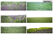 Flowers and Grass Overlays, an Object Graphic by MixPixBox (Thumbnail 5 of 6)