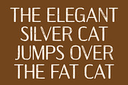 CS Anzelia Stamp, a Sans Serif Font by Craft Supply Co. (Thumbnail 6 of 8)
