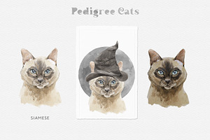 Feline Nature. Cat Portrait Creator