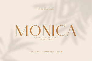 Monica - Classic & Elegant Sans