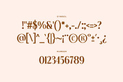 Coplifher - Modern Serif Font, a Serif Font by Mine Type Lab (Thumbnail 6 of 10)