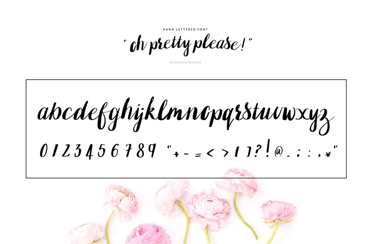 Oh pretty please: Hand lettered font preview 4