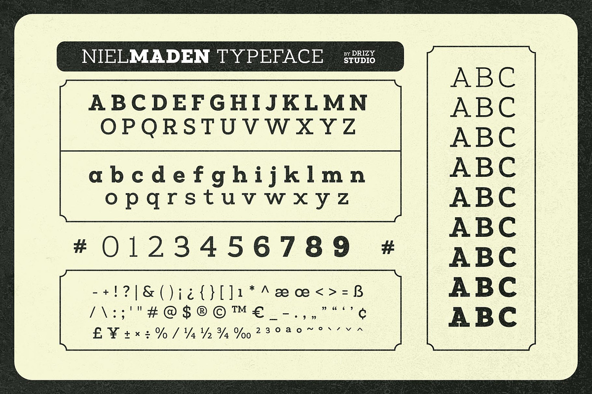 Nielmaden, a Slab Serif Font by Drizy (Photo 3 of 9)