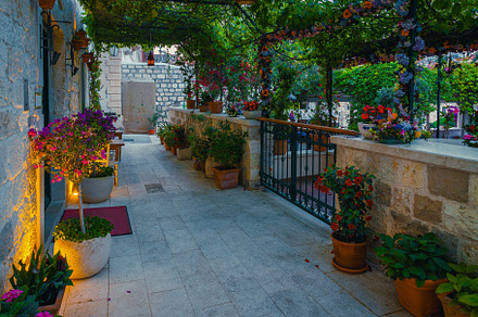 Cozy street decorated with flowers, an Architecture Photo by Alpine Dreams