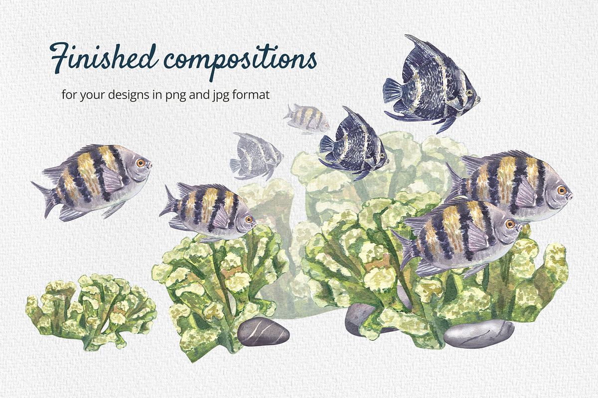 Coral Reef Watercolor Clipart, an Animal Illustration by Nastya Che (Photo 5 of 14)