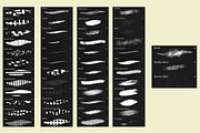 Illustration Procreate Brushes, a Brush Add-On by KJP Designs (Thumbnail 2 of 15)