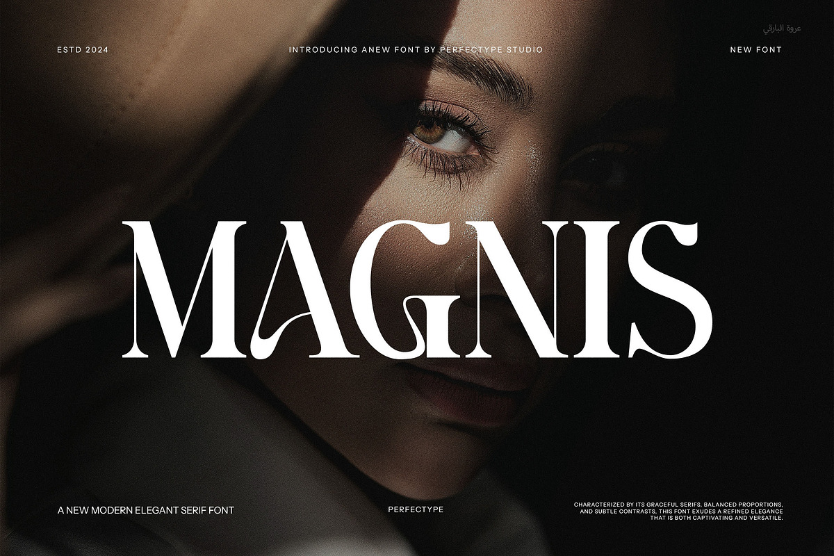 Magnis Unique Serif Font, a Serif Font by Perfectype (Photo 1 of 8)