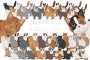Selkirk Rex Cat, an Animal Illustration by pet design shop (Thumbnail 1 of 6)