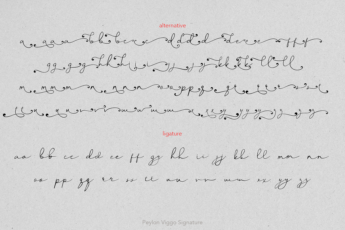 Peylon Viggo Signature, a Handwritten Font by madeDeduk (Photo 10 of 10)