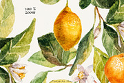 Watercolor Mediterranean summer life, a Decorative Illustration by Pamyatka Shop (Thumbnail 6 of 25)