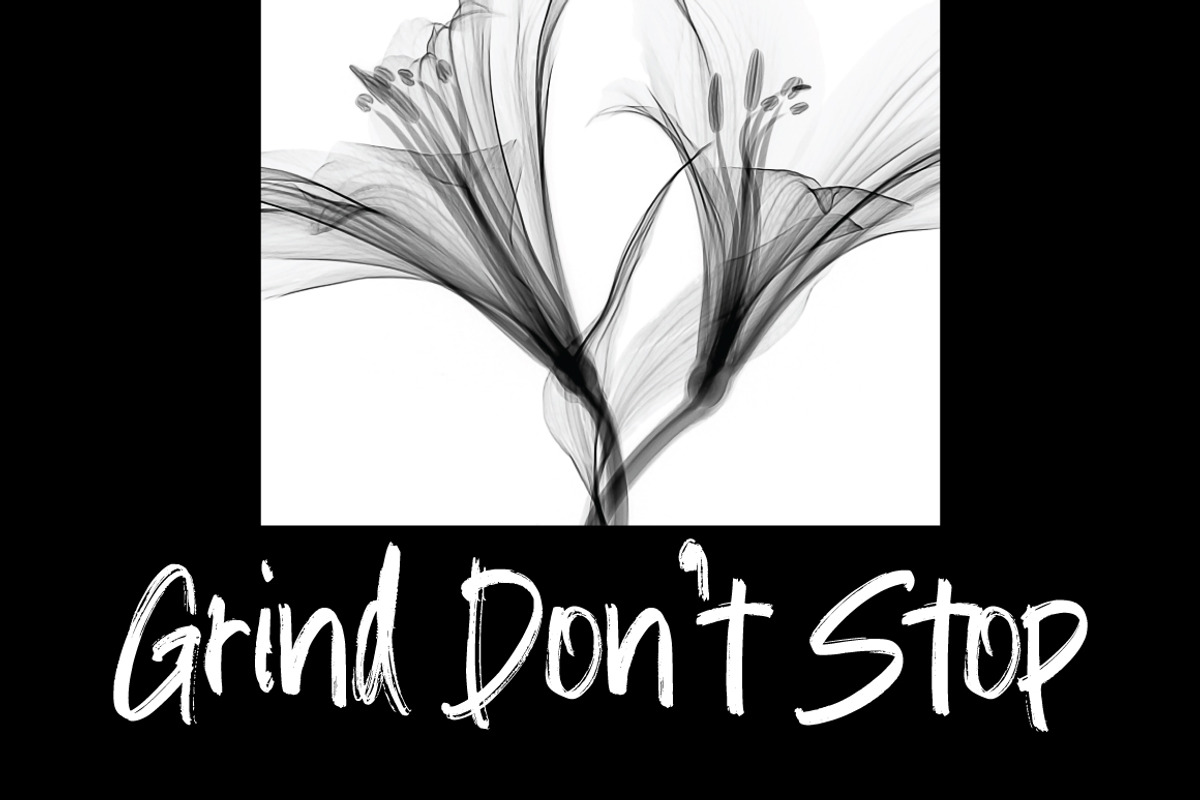 Fasturise - Freestyle Brush, a Handwritten Font by executypeStudio (Photo 10 of 15)
