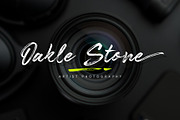Bableya - Modern Handbrush Script, a Handwritten Font by Sealoung (Thumbnail 6 of 12)