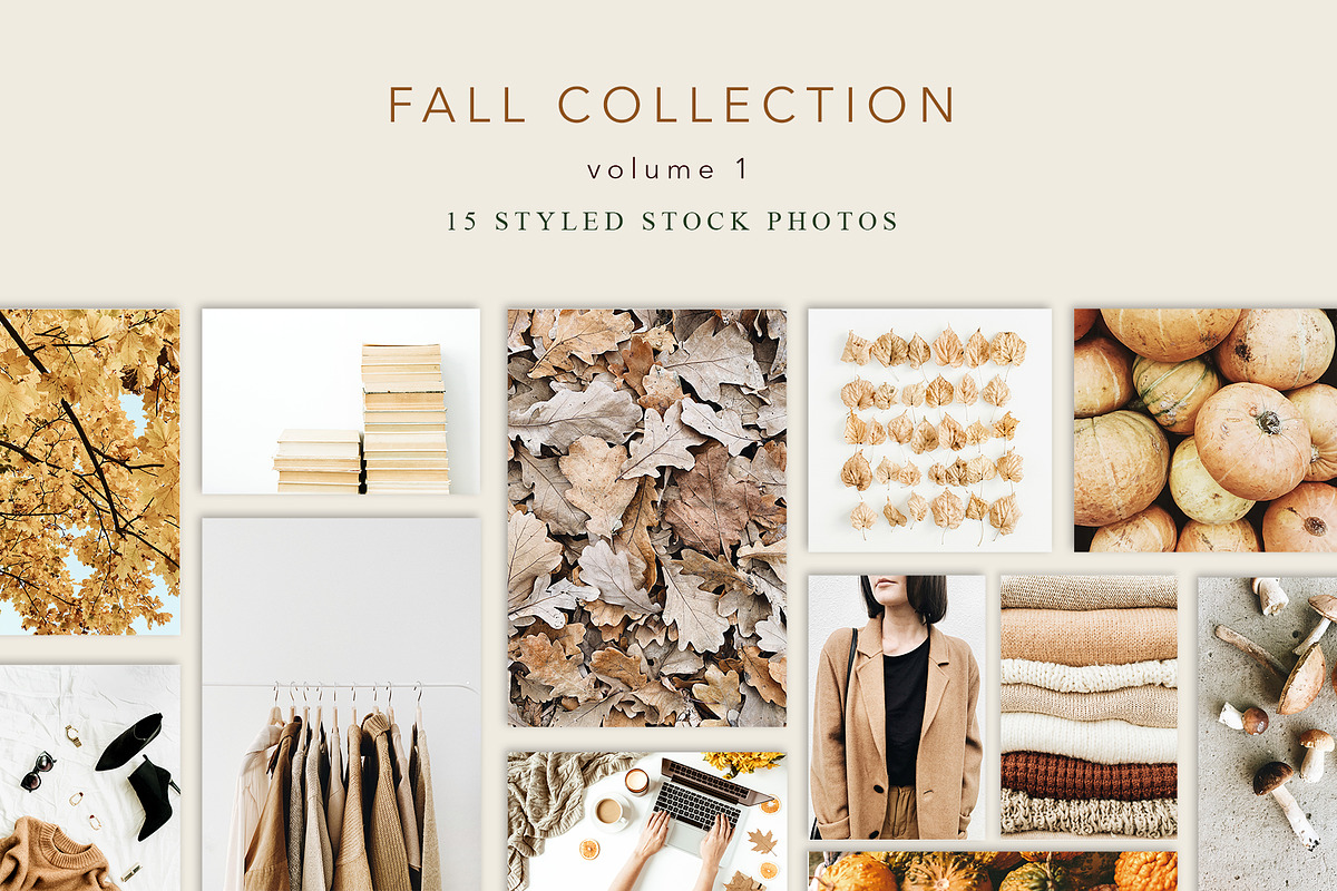 Fall Collection 1, a Beauty & Fashion Photo by Floral Deco (Photo 1 of 8)