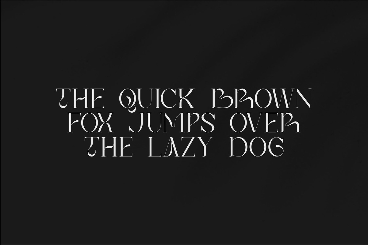 Bilea - Unique Brilliant Font, a Serif Font by suhadidesign (Photo 4 of 14)