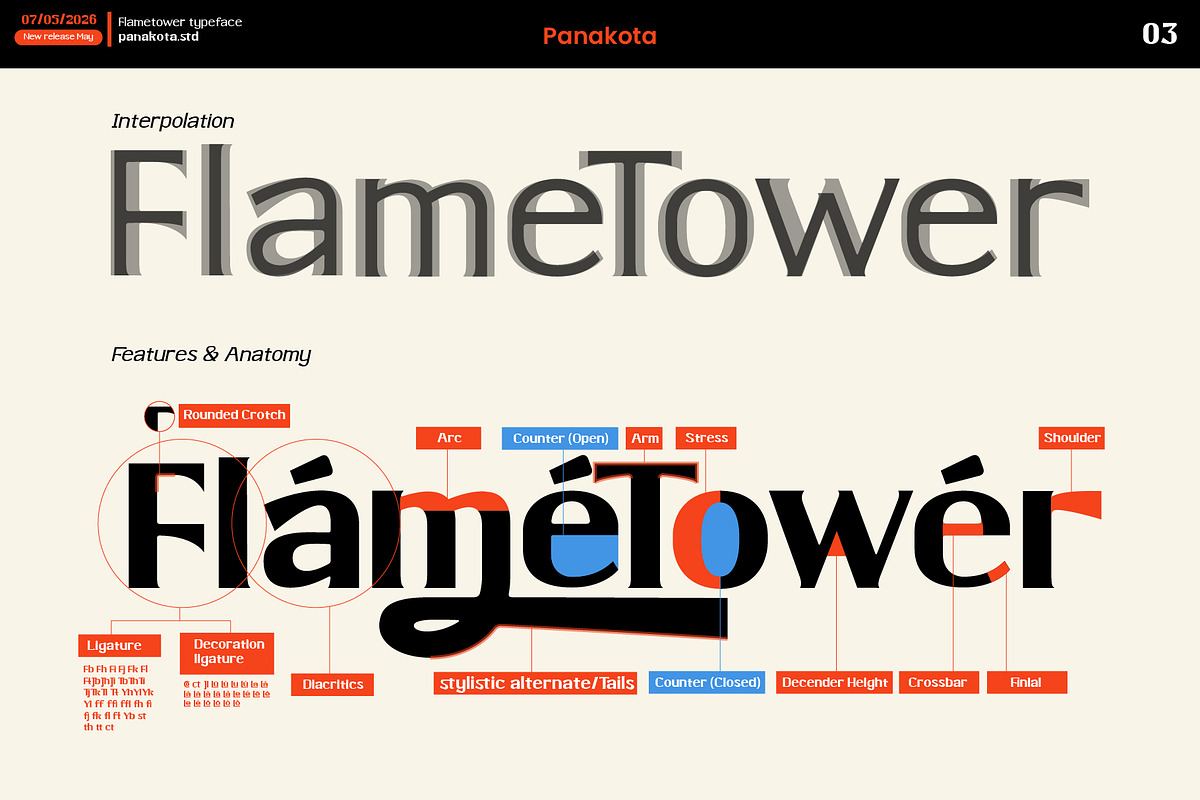 FLAMETOWER FAMILY TYPEFACE & DISPLAY, a Sans Serif Font by panakota studio (Photo 2 of 8)