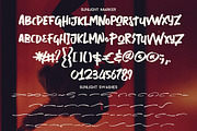 Sunlight - Brush Font Duo, a Script Font by Cruzine (Thumbnail 3 of 8)