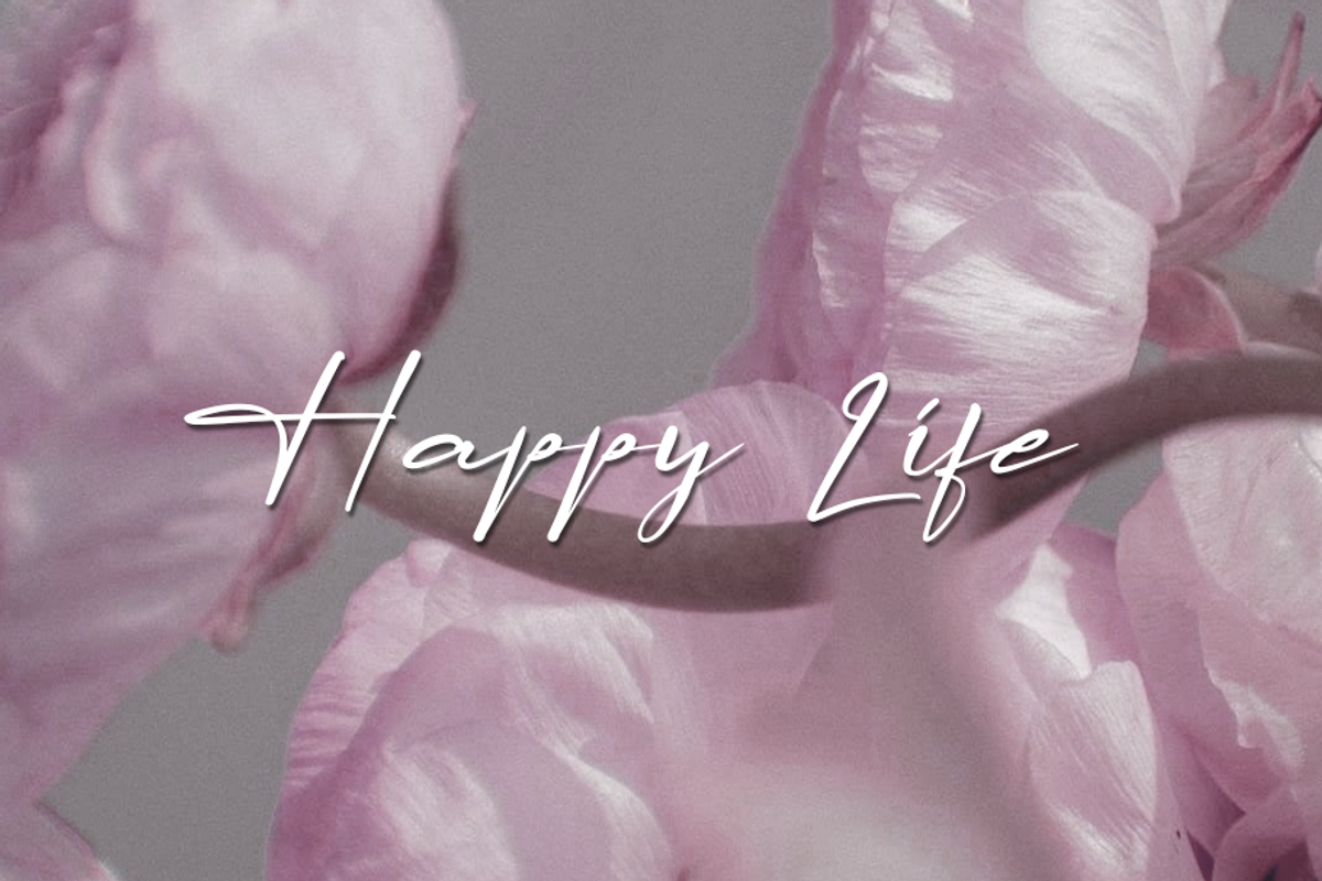 Lapierro Script, a Script Font by GlottaTypeface (Photo 8 of 8)