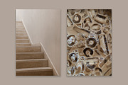Lifestyle Essentials 4, a Beauty & Fashion Photo by Floral Deco (Thumbnail 4 of 7)