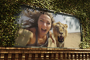 Selfie with wild animals - 63 images, an Animal Photo by Handmadefont (Thumbnail 11 of 11)