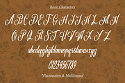 Shiluna, a Script Font by Annivers Type (Thumbnail 3 of 6)