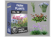 81 Farm Plants Photo Overlays, a Nature Photo by KenScape (Thumbnail 1 of 4)