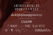 Nortine A New Modern Serif Font, a Serif Font by Storytype Studio (Thumbnail 13 of 15)