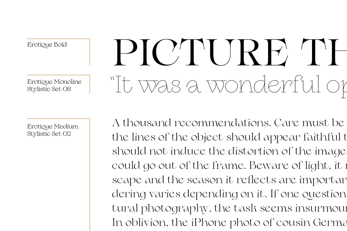 Erotique - 10 fonts, a Serif Font by Zetafonts (Photo 4 of 14)