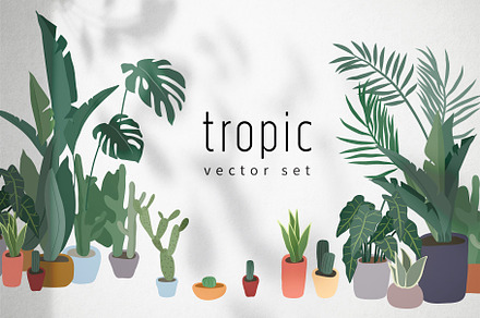 Tropical plants. Vector set