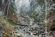 MILLION OF GREEN-Set of 20presets Lr, an Action Add-On by Graphics, Presets, Photos (Thumbnail 10 of 21)
