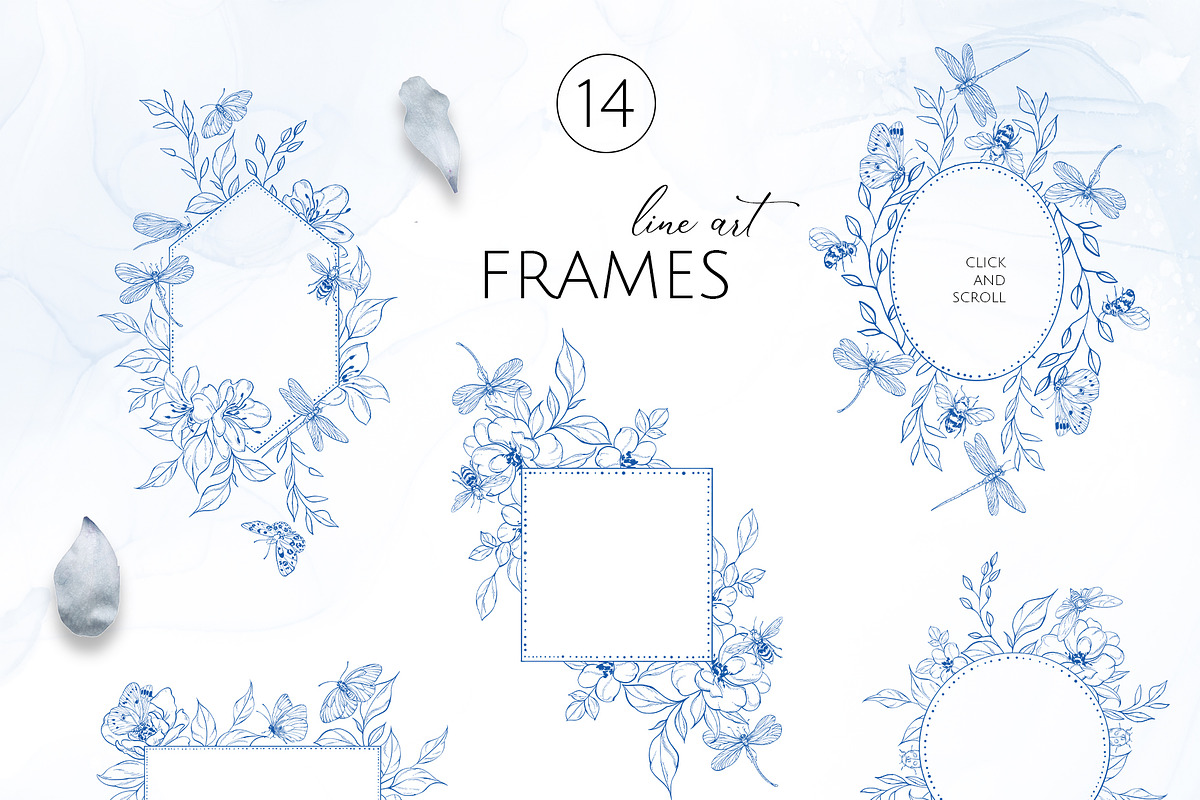 INSECTS & FLOWERS line art set, a Decorative Illustration by Yuliia Lashevska (Photo 6 of 12)