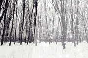 Real snow overlays for your photos, a Texture Graphic by RM_design (Thumbnail 3 of 5)