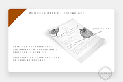 Pumpkin Patch Procreate Stamps + PNG, a Brush Add-On by SorrDesign (Thumbnail 6 of 7)