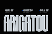 Skywall - Condensed Font, a Sans Serif Font by limitype (Thumbnail 15 of 15)