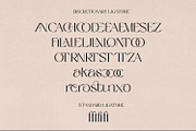 Greyst - Exotic Modern font, a Serif Font by creativemedialab (Thumbnail 7 of 9)