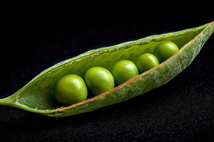 Fresh peas in a pod, a Photo by Beautiful things