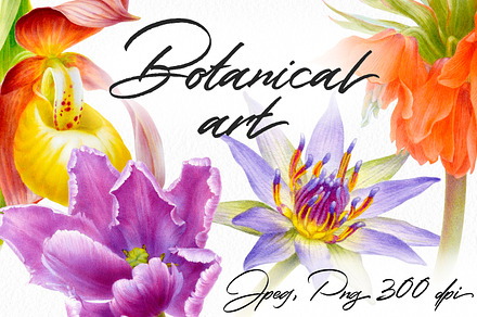 Botanical art