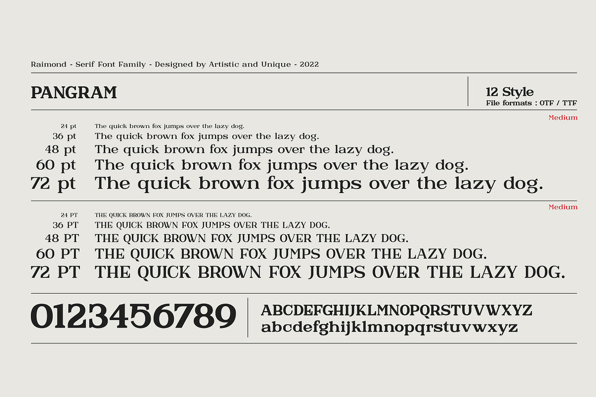 Raimond - Serif font family, a Serif Font by Artistic & Unique (Photo 15 of 15)