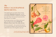 80 Vintage Nature Illustrations, an Object Graphic by The Object Atlas (Thumbnail 8 of 11)
